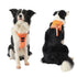 Vibe Geeks Ultimate 2-in-1 Reflective No-pull Dog Harness with Retractable Leash and Control Handle - Blue - Xl