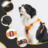 Vibe Geeks Ultimate 2-in-1 Reflective No-pull Dog Harness with Retractable Leash and Control Handle - Green - L