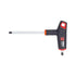 6pcs Set of 2C T-Handle Hex Keys
