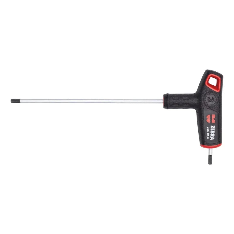 6pcs Set of 2C T-Handle Hex Keys