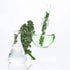 15g Skin Active Ampoule Sheet Mask Kale/ Niacinamide