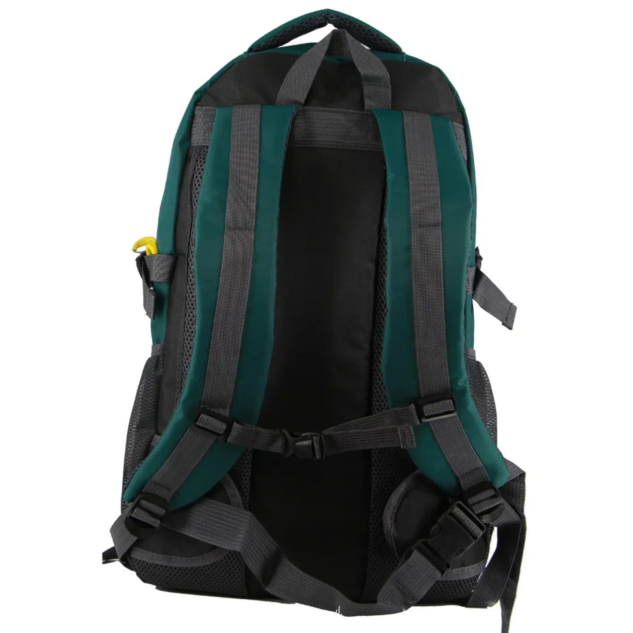 Green and black backpack with padded straps and adjustable buckles, rear view