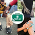 6x 258pcs Premium First Aid Kit Medical Travel Set Emergency Family Safety