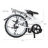 Nomad Folding Bike 20" in Pearl White