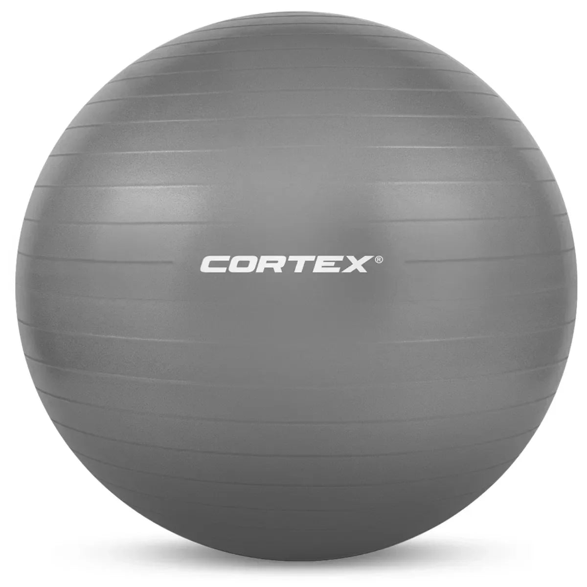 Fitness Ball 75cm in Grey