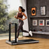 WalkingPad MX16 Double-Fold & Stow Walking and Running Treadmill