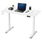 Lifespan Fitness ErgoDesk Electric Standing Desk 120cm (White/White)
