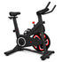 SM-120 Spin Bike with Automatic Magnetic Resistance
