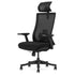 DM9 Ergonomic Mesh High Back Office Chair