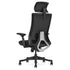 DM9 Ergonomic Mesh High Back Office Chair