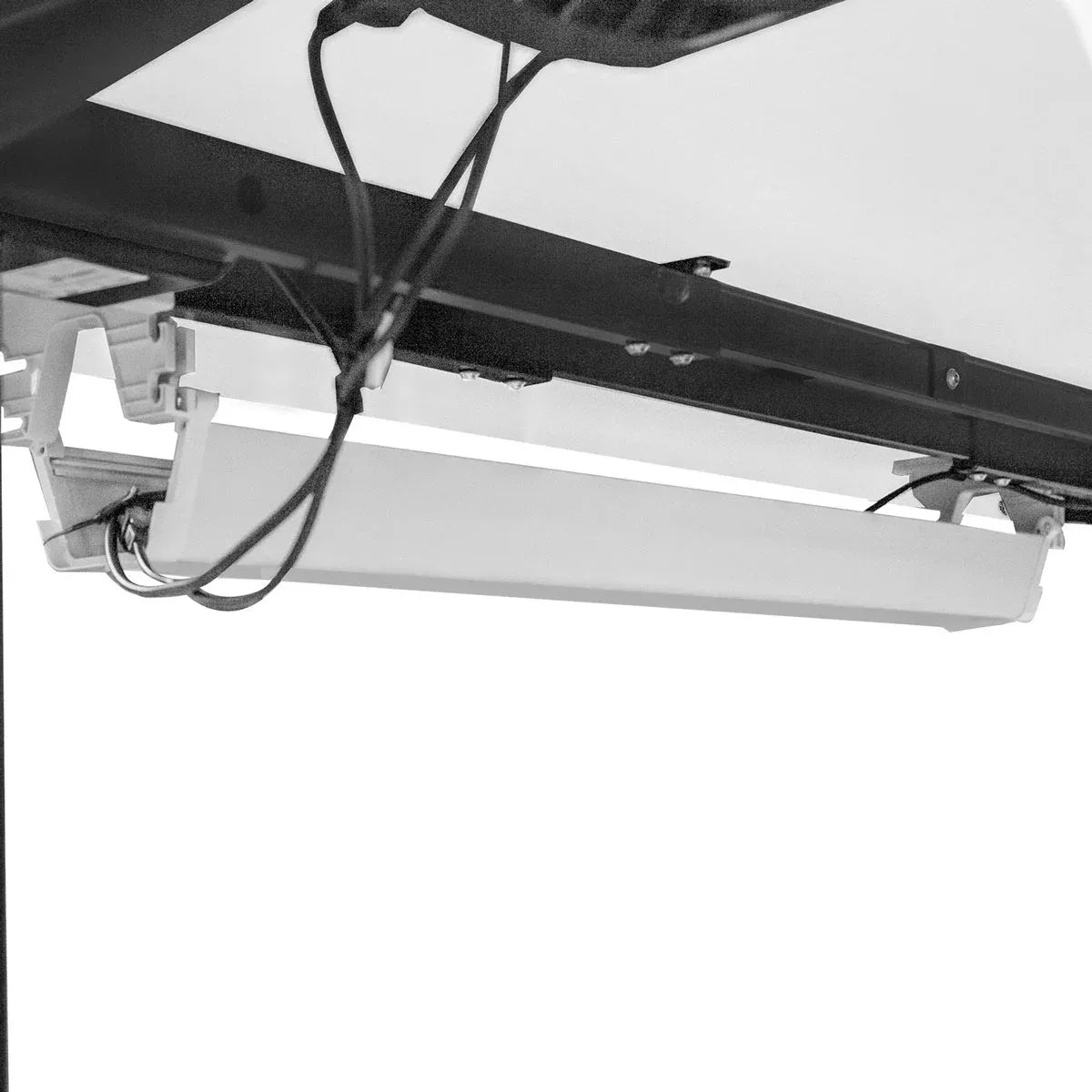 WalkingPad M2 + ErgoDesk 1500mm White + Cable Management + DM9 Chair