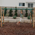 3.0m Timber Monkey Bar Set – Outdoor Kids Play, Premium Wood, 50kg/Bar