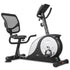 RB-2 Recumbent bike