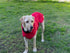 Pet Dog Raincoat Poncho Jacket Windbreaker Waterproof Clothes with Harness Hole-XS-Red