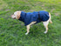 Pet Dog Raincoat Poncho Jacket Windbreaker Waterproof Clothes with Harness Hole-XS-Blue