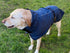 Pet Dog Raincoat Poncho Jacket Windbreaker Waterproof Clothes with Harness Hole-XXL-Red