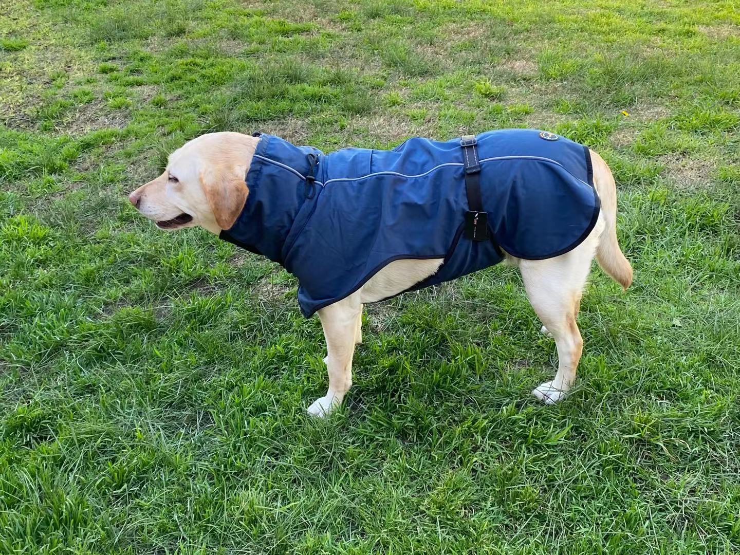 Pet Dog Raincoat Poncho Jacket Windbreaker Waterproof Clothes with Harness Hole-L-Black (Single Layer)