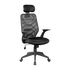 Ergonomic Mesh Office Chair