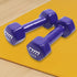 2kg Dumbbells Pair, PVC Rubber Coated, Hexagonal Design, Cast Iron Build