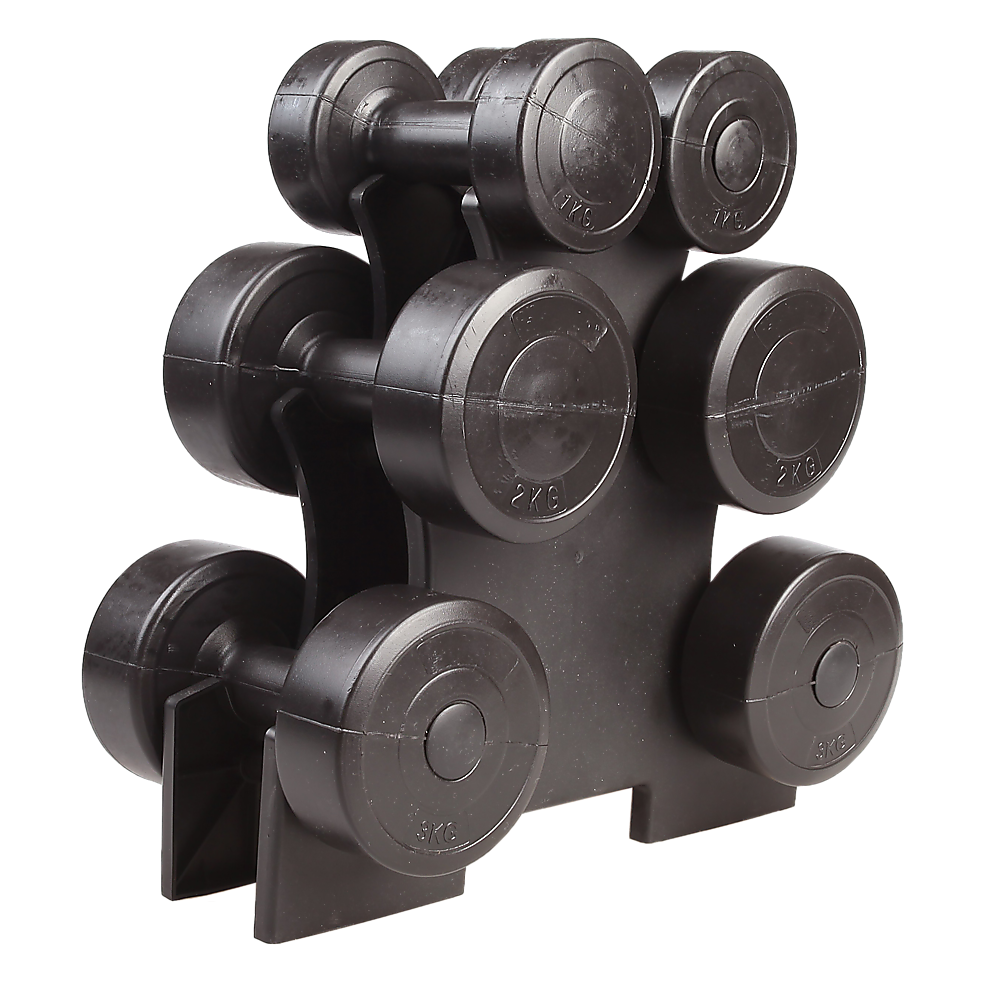 12kg Dumbbell Weights Set with Rack for Home Gym Training