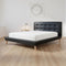 Queen PU Leather Deluxe Bed Frame Black