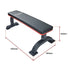Commercial Flat Weight Lifting Bench, 300kg Rated, Padded Top, Steel Frame