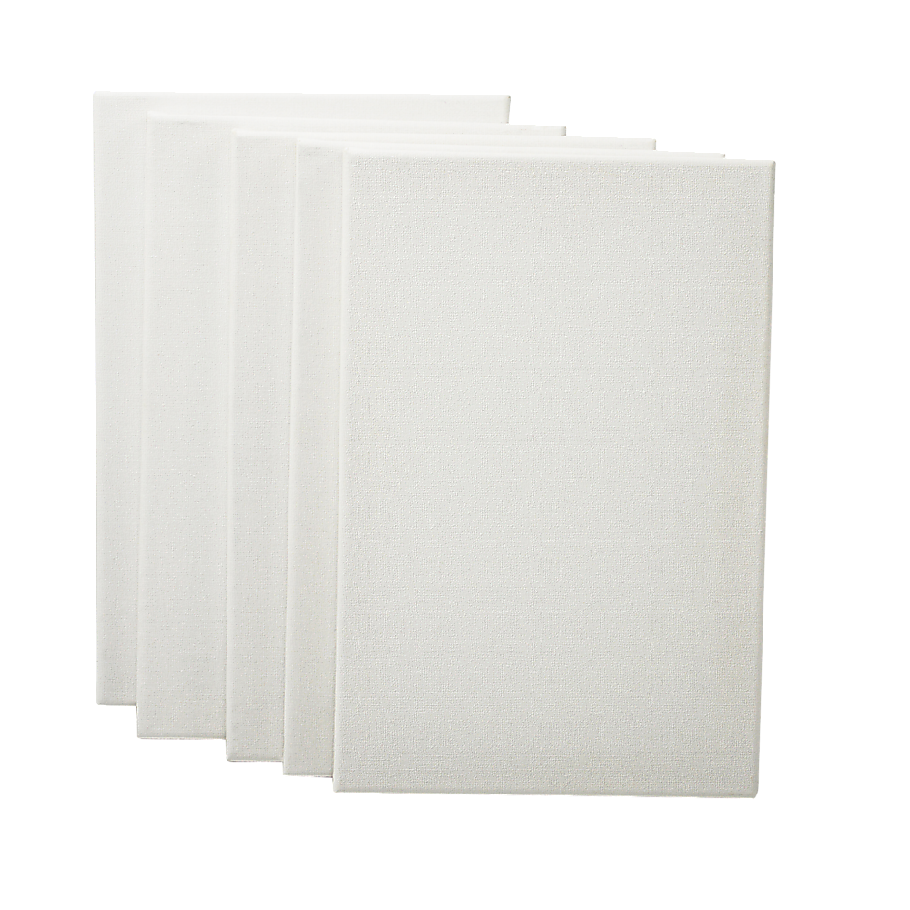 5 pack of 20x30cm Artist Blank Stretched Canvas Canvases Art Large White Range Oil Acrylic Wood