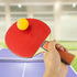 Portable Table Tennis Set with Extendable Net, 2 Paddles & 2 Ping Pong Balls