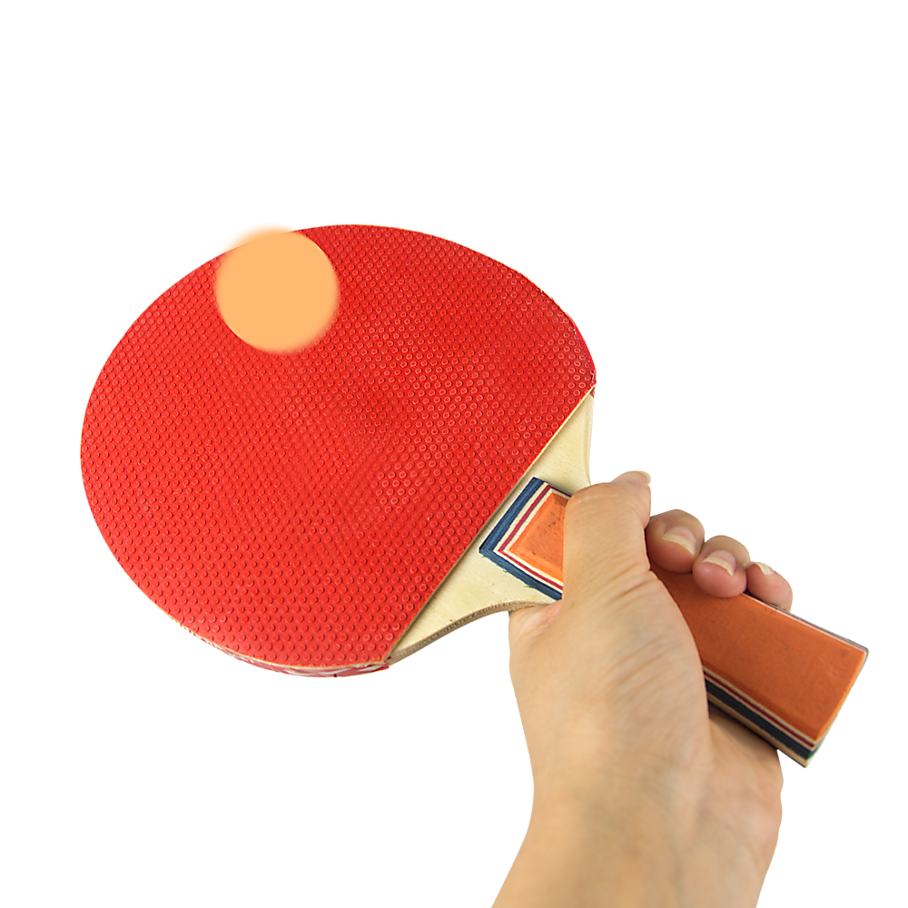 Portable Table Tennis Set with Extendable Net, 2 Paddles & 2 Ping Pong Balls