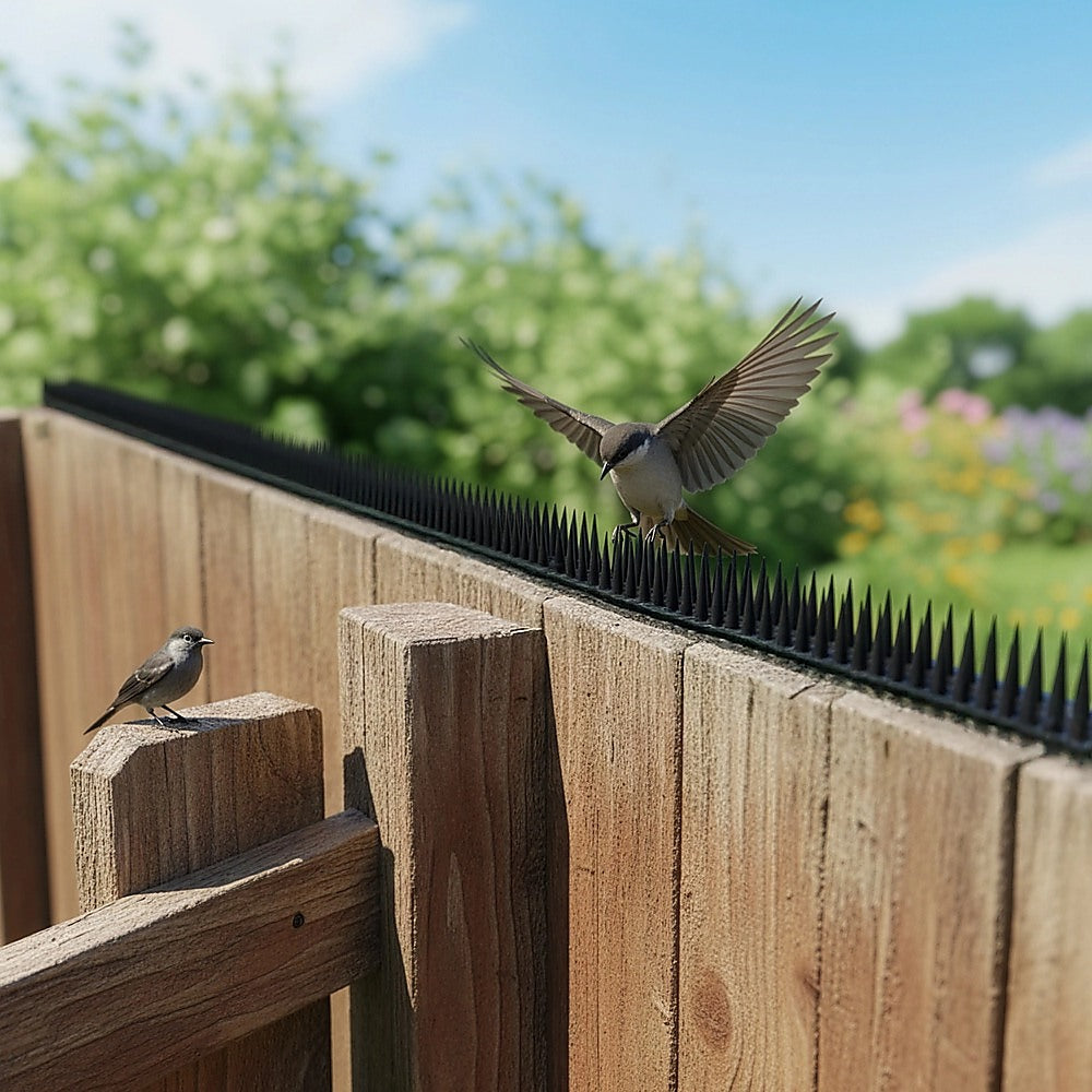 12pc Bird Spikes Human Cat Possum Mouse Pest Control Spiked Fence Wall Deterrent