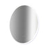 Oval Mirror LED Anti-Fog Illuminated Bathroom Living Room