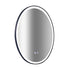 Oval Mirror LED Anti-Fog Illuminated Bathroom Living Room