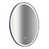 Oval Mirror LED Anti-Fog Illuminated Bathroom Living Room