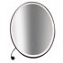 Oval Mirror LED Anti-Fog Illuminated Bathroom Living Room