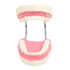Dental Tooth Brushing Model Teeth Care