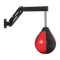 Speed Bag Punching Boxing Bag Wall Mount Reflex Training