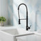 Basin Mixer Pull-Out Kitchen Tap Faucet, Matte Black Kit