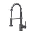 Flexible Pull-Out Kitchen Mixer Tap with Spray Function, Black