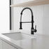 Flexible Pull-Out Kitchen Mixer Tap with Spray Function, Black