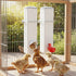 Chicken Bird Feeder Water Dispenser Automatic Waterer Poultry Food Drinker 4L