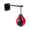 Wall Hanging Boxing Punching Bag Speed Training Stress Relief Kit with Wall Mount Bracket