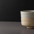 Matcha Tea Bowl 10cm Aozora Fleck