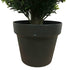 Artificial Topiary Shrub (Hedyotis) UV Resistant 50cm