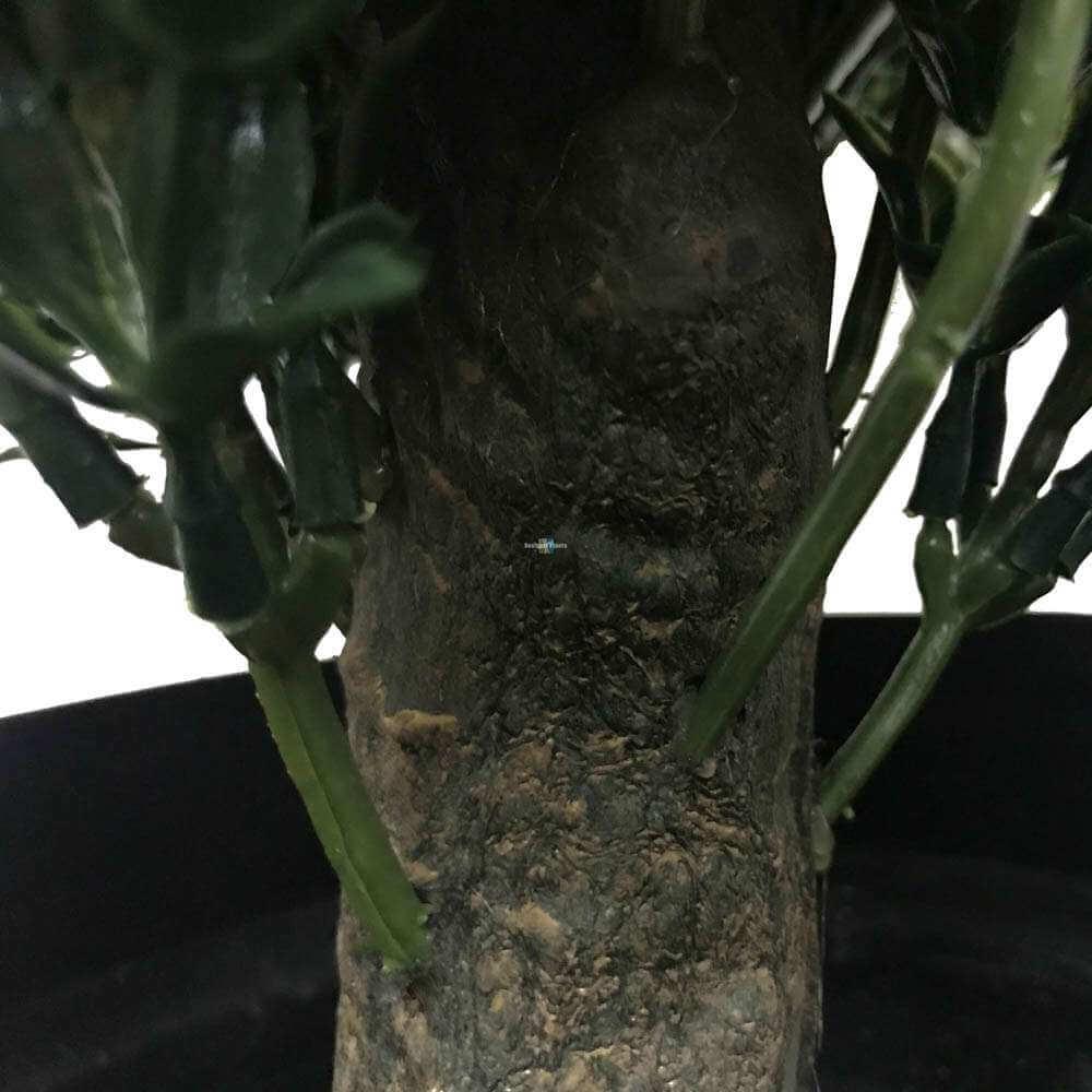 Artificial Topiary Shrub (Hedyotis) UV Resistant 50cm