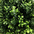 Artificial Topiary Shrub (Hedyotis) UV Resistant 50cm