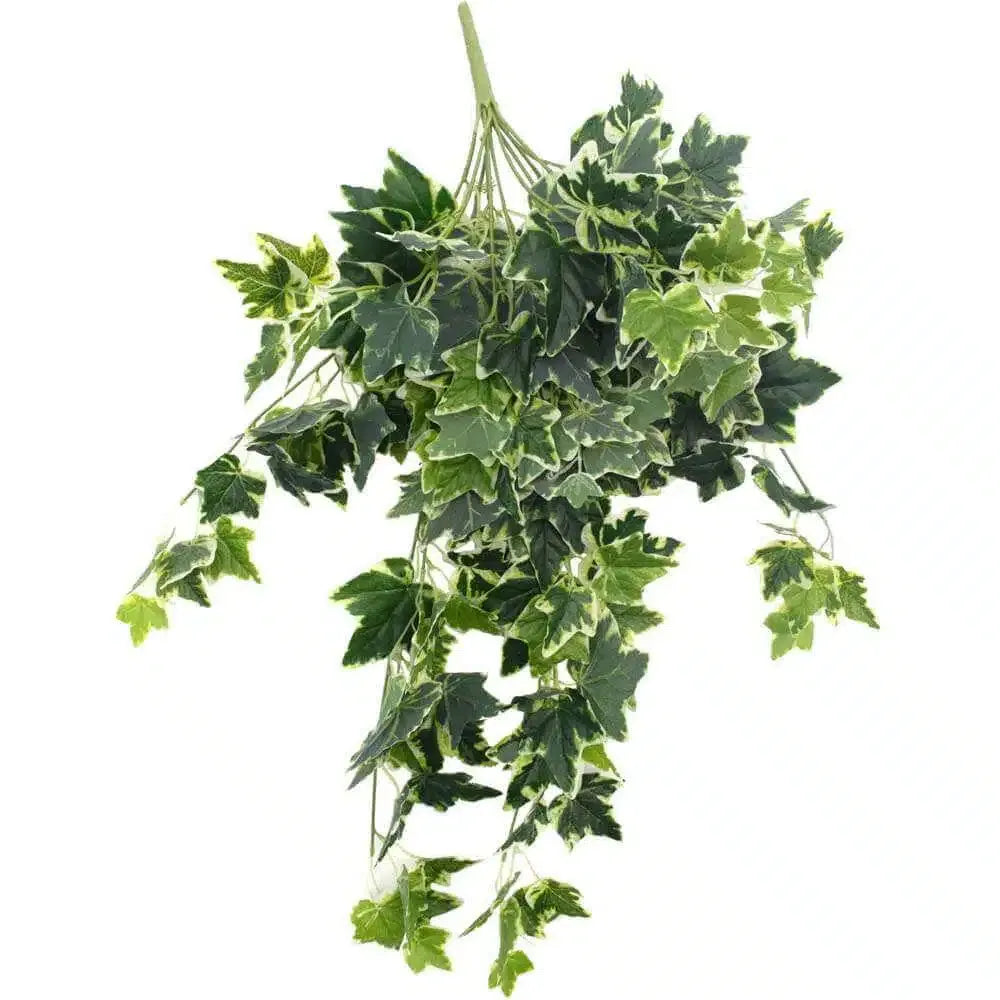 Mixed Green and White Tipped Ivy Bush Faux Plant, 100cm, Hanging Design