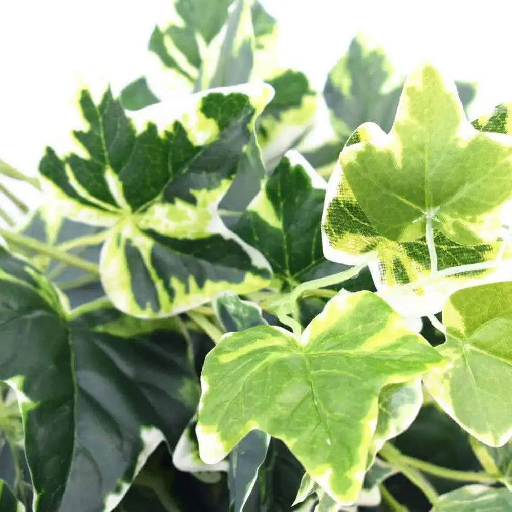 Mixed Green and White Tipped Ivy Bush Faux Plant, 100cm, Hanging Design