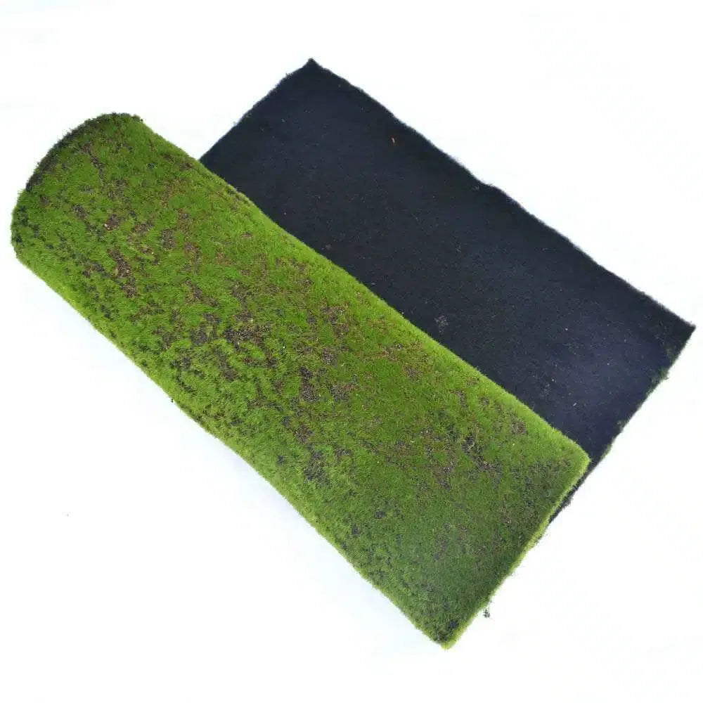 Artificial Moss Wall Covering 200cm x 50cm, Flexible, Cuttable Design Set