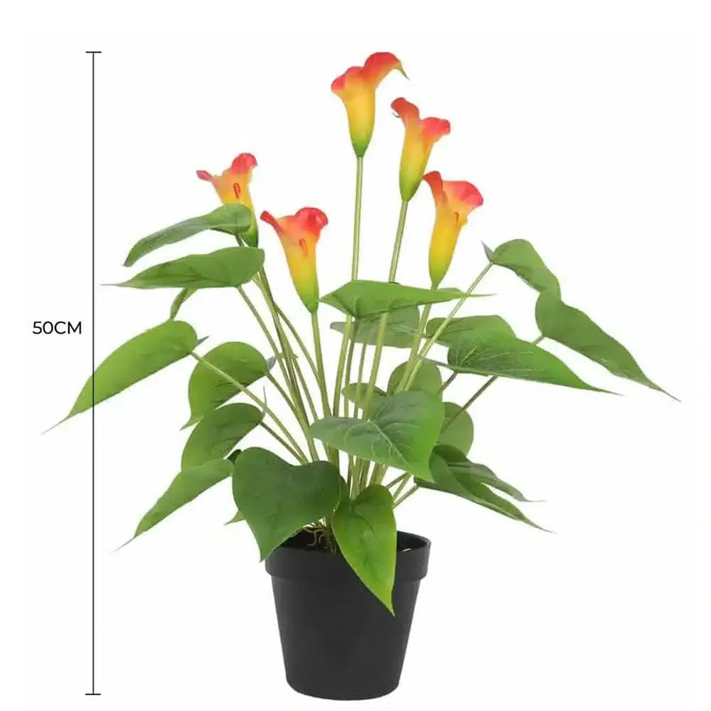 Artificial Flowering White & Orange Peace Lily Calla Lily Plant 50cm Real Touch