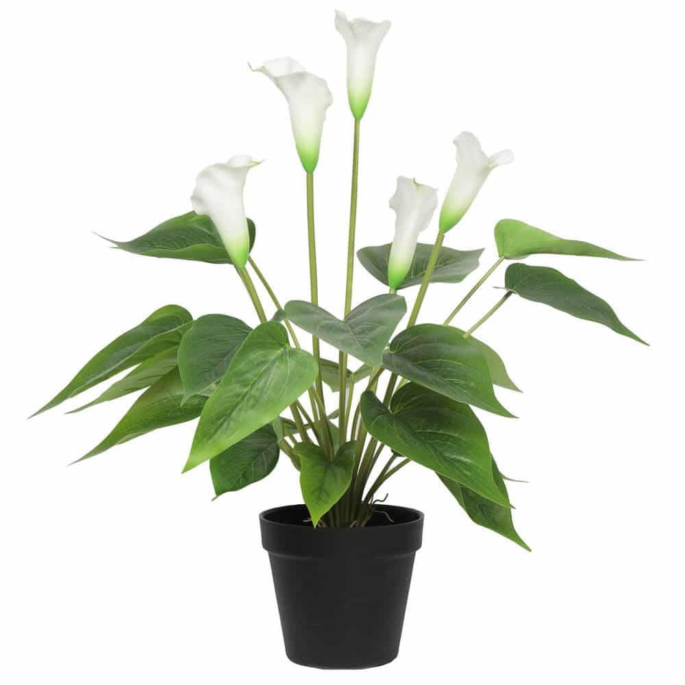 Artificial Flowering White Peace Lily Calla Lily Plant 50cm Real Touch Faux Pot